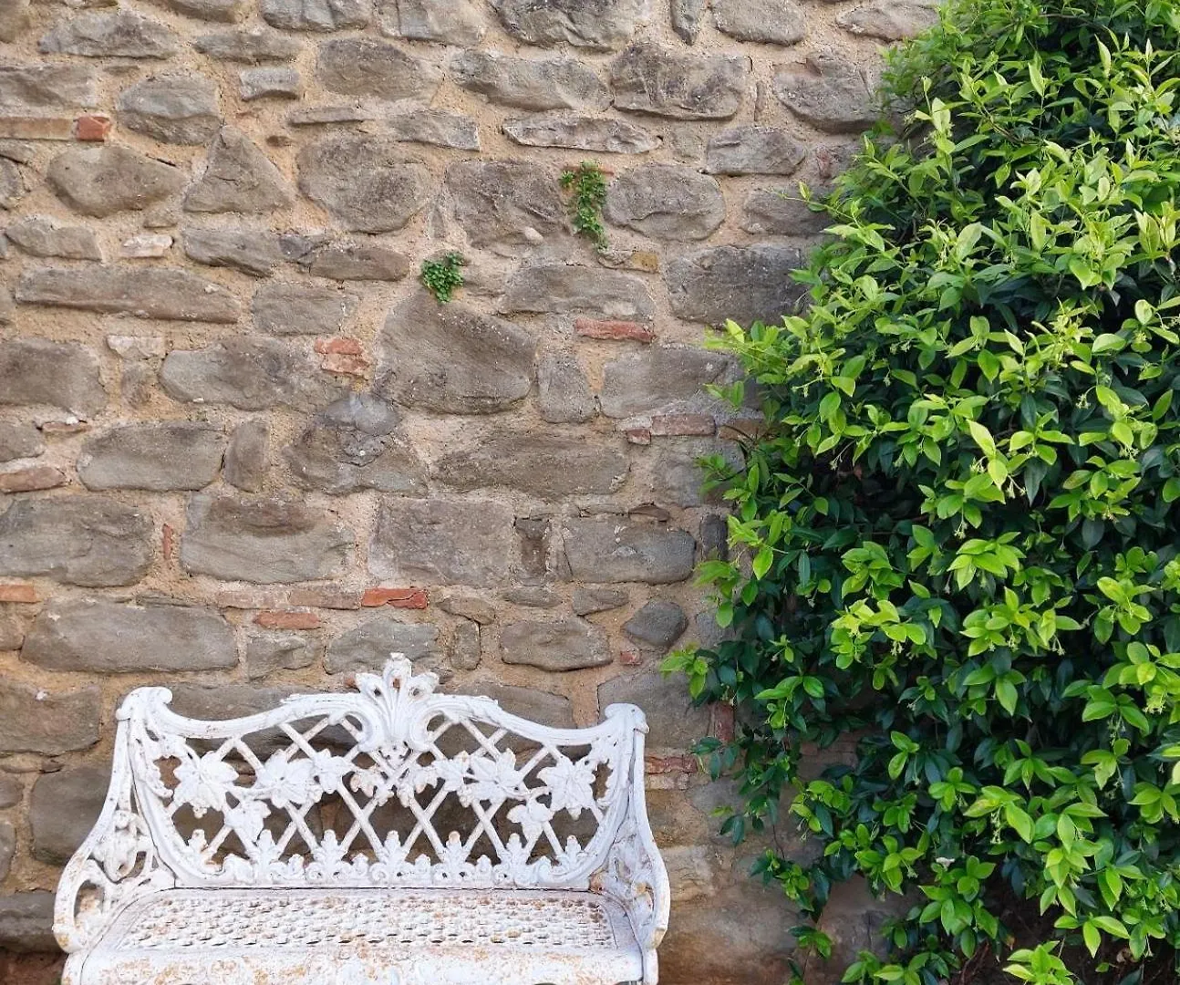 B&B Palazzo Mattei Novafeltria Bed & Breakfast